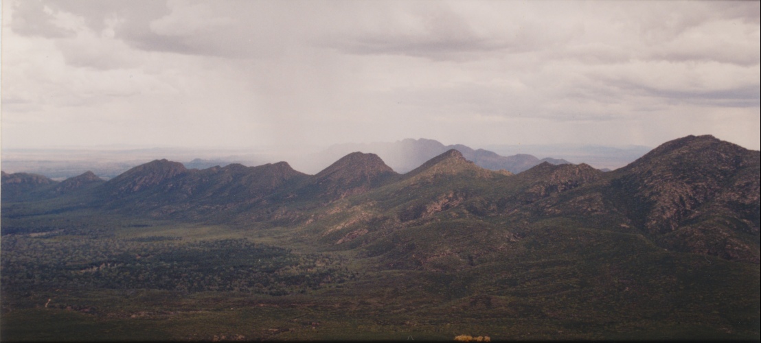 AU124-001-1pan.jpg