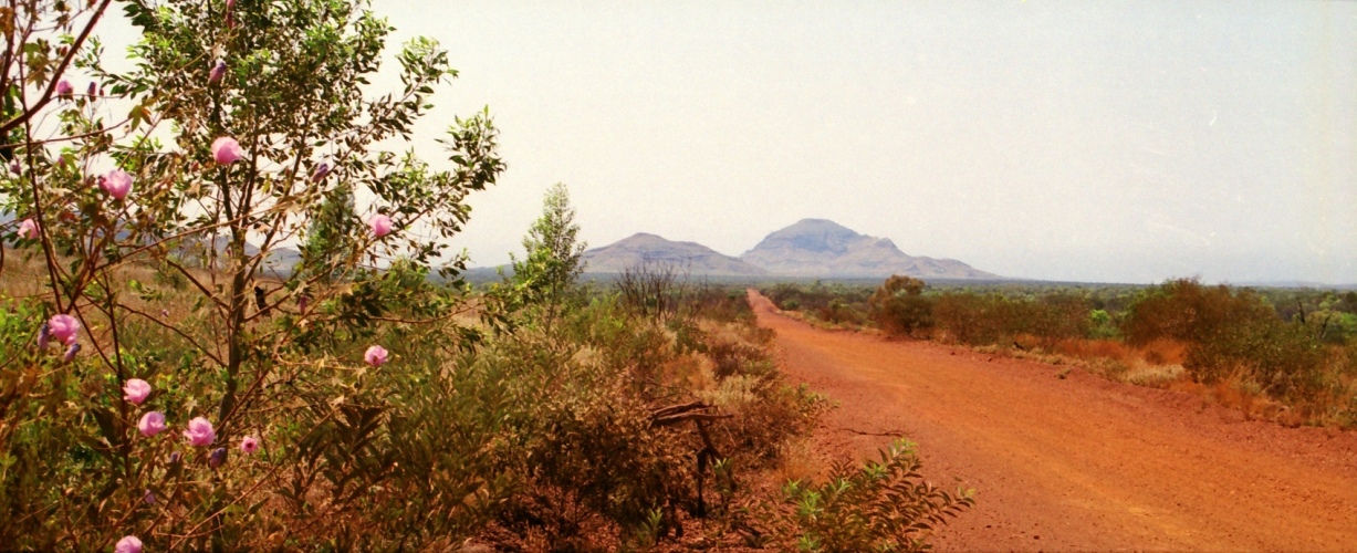 AU103-27pan.jpg