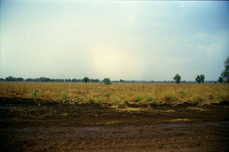 AU105-05.jpg