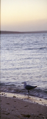 AU102-34r.jpg