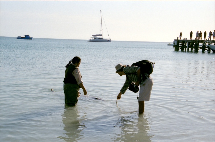 AU103-11en.jpg