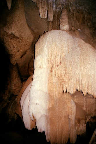 AU112-32r.jpg