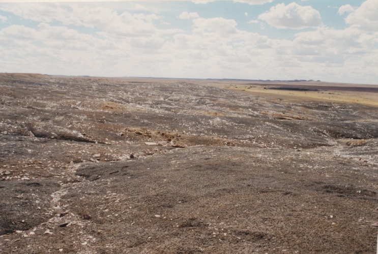 AU114-001-1.jpg