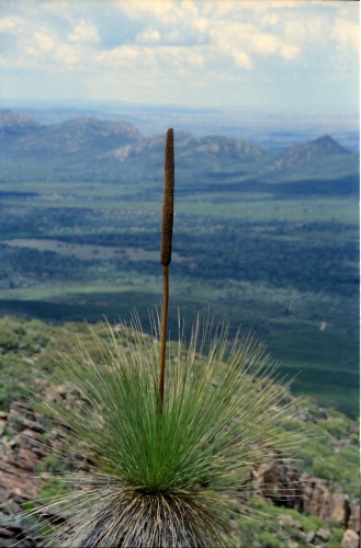 AU114-36r.jpg