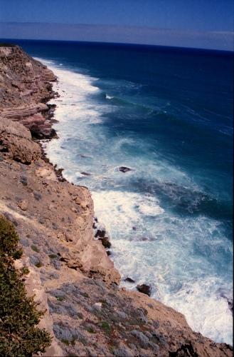 AU102-17r.jpg