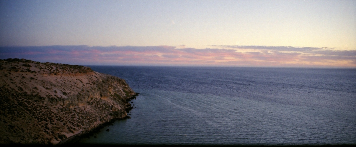 AU102-25pan.jpg