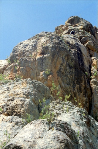 AU125-10ren.jpg