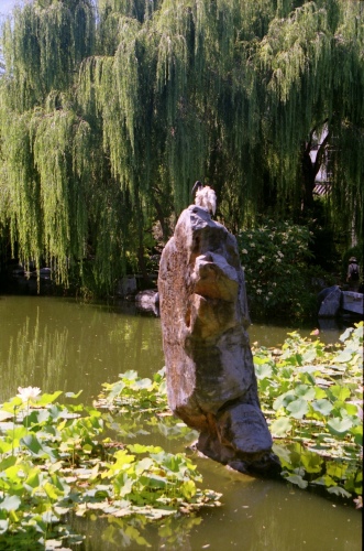 AU126-08r.jpg