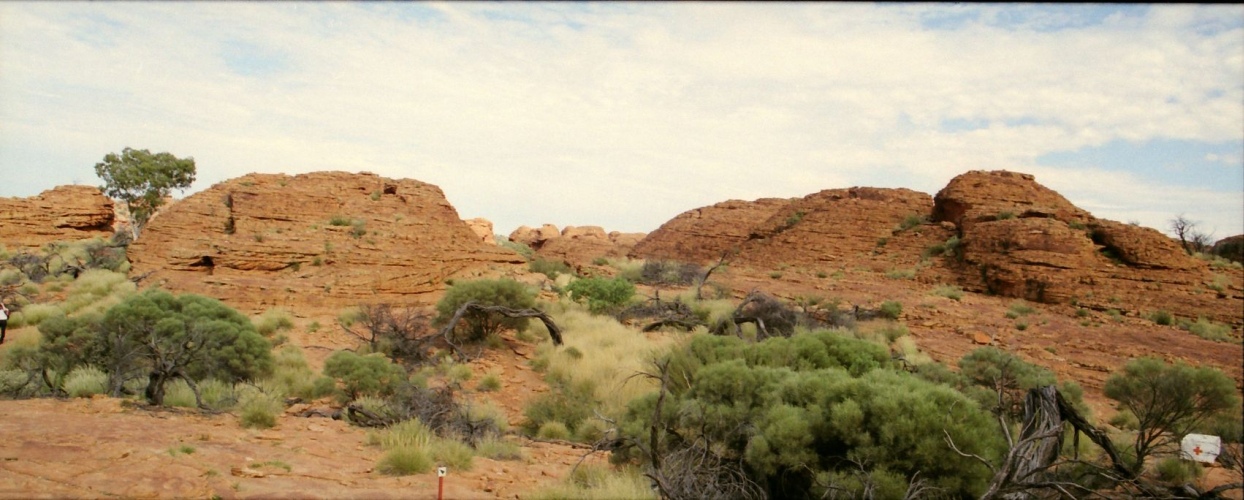 AU118-05pan.jpg