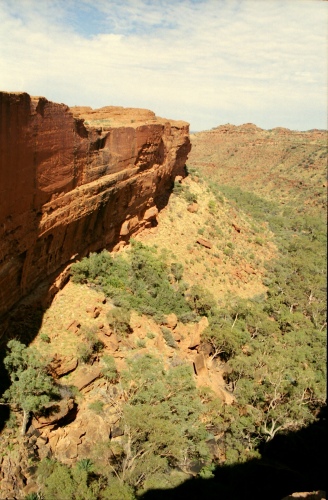 AU118-10r.jpg