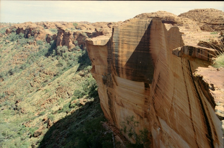 AU118-11r.jpg