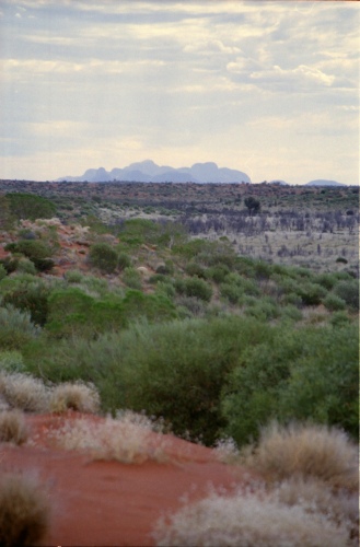 AU118-26r.jpg