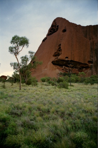 AU118-30r.jpg