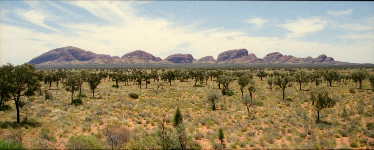 AU119-16pan.jpg