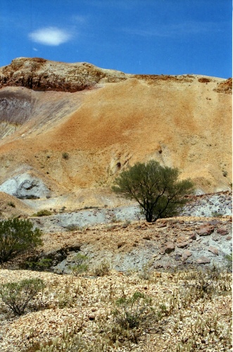 AU119-37r.jpg