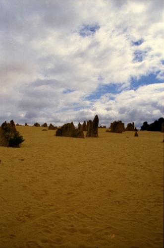 AU101-14r.jpg