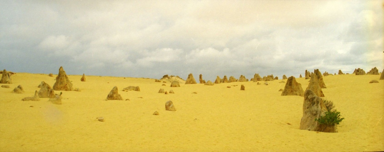 AU101-15pan.jpg