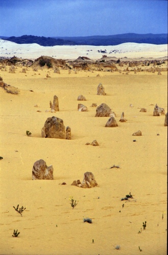 AU101-18r.jpg