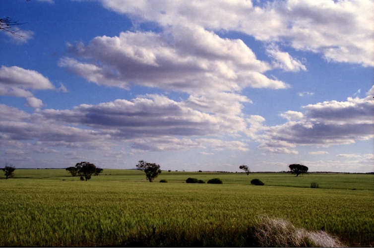 AU102-02r.jpg