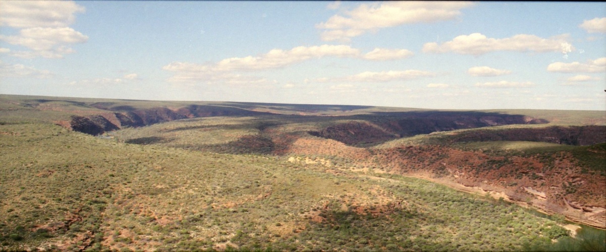 AU102-08pan.jpg