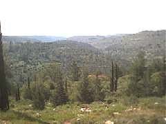 yad-ha-shmona-jerusalem 11