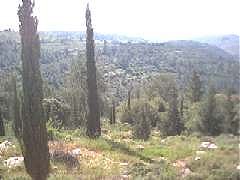 yad-ha-shmona-jerusalem 12