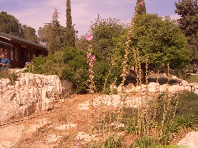 	Yad ha-Shmona	
