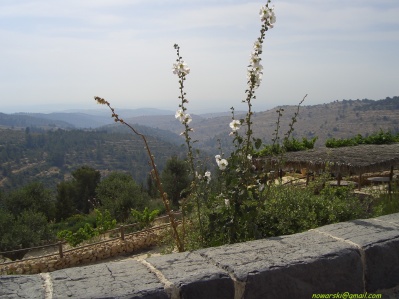 	Yad ha-Shmona	