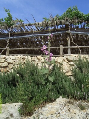 	Yad ha-Shmona	