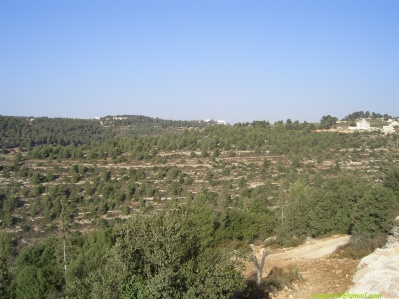 	Yad-haShmona	