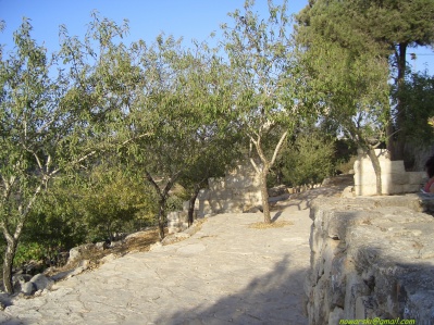 	Yad-haShmona	