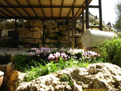 	Yad haShmona	