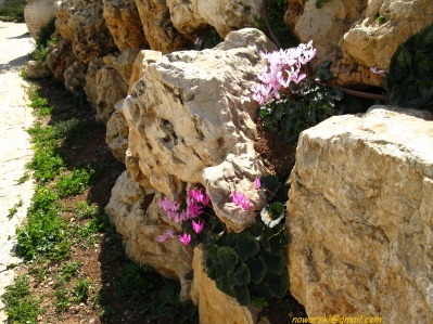 20110304-Yad-haShmona-7377.jpg