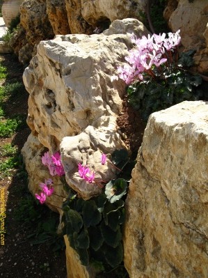 20110304-Yad-haShmona-7380.jpg