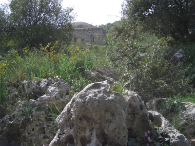 zuba-judean-mountains-20050326-3544.jpg
