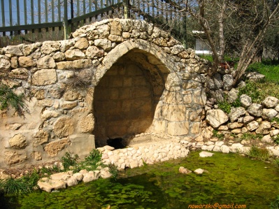 20110304-Maayan-Zuba-7426.jpg