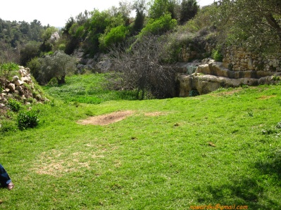 20110304-Maayan-Zuba-7435.jpg