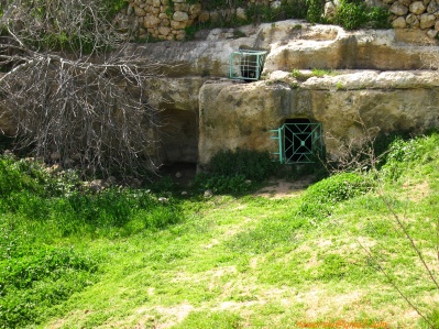 20110304-Maayan-Zuba-7454.jpg