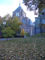 foliage-in-philadelphia-20041031-1377.jpg