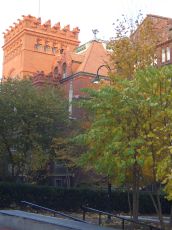 foliage-in-philadelphia-20041031-1383.jpg