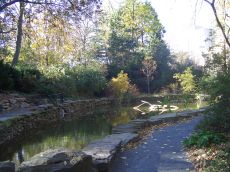 foliage-in-philadelphia-20041109-2032.jpg