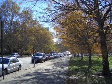 foliage-in-philadelphia-20041113-2197.jpg
