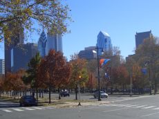 foliage-in-philadelphia-20041113-2199.jpg