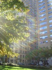 foliage-in-philadelphia-20041113-2228.jpg