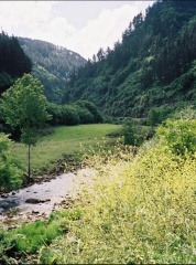 besaya-20040613-1.jpg