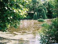 besaya-20040613-2.jpg