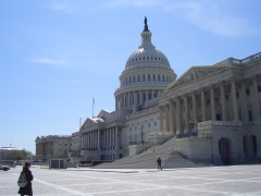 20060410-washington-7425.jpg