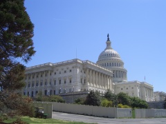 20060410-washington-7429.jpg