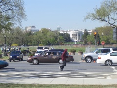 20060410-washington-7478.jpg