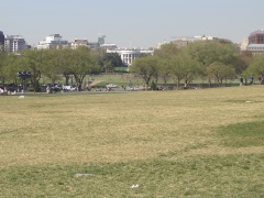 20060410-washington-7492.jpg